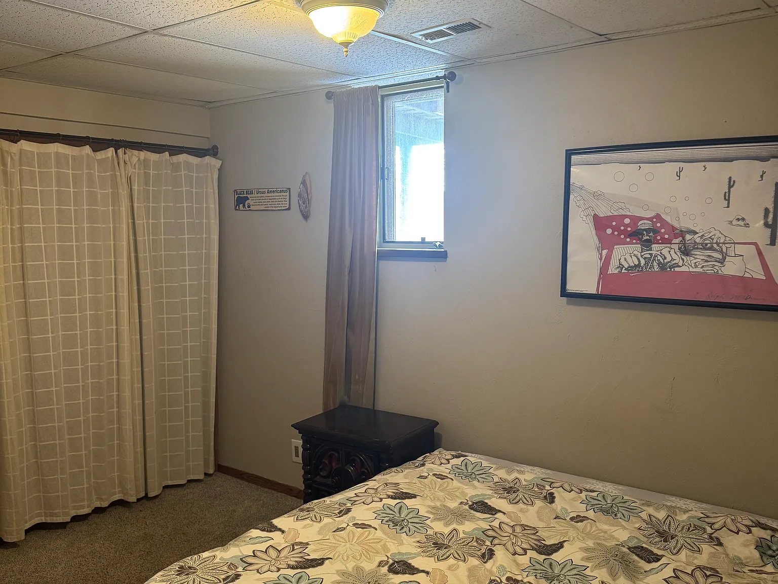1294 Straight Creek Dr — Photo 4