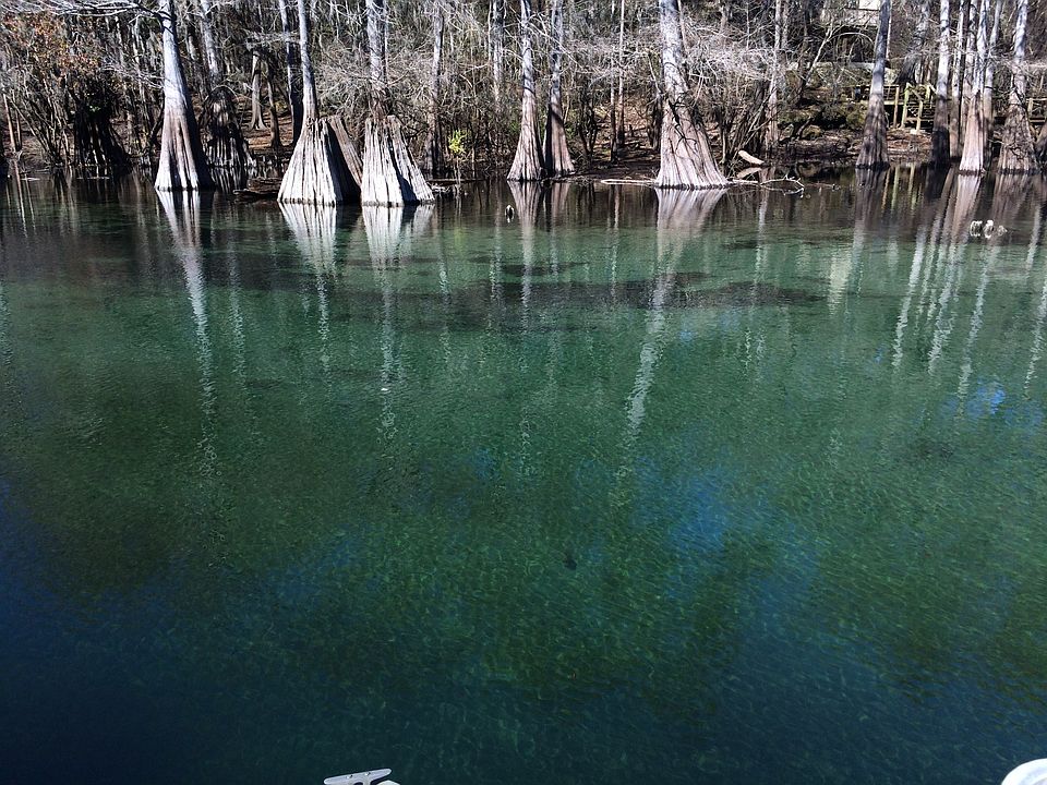 Itchtucknee River