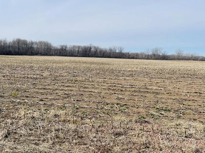 20 Acres N HUME AVENUE, Marshfield, WI, 54449