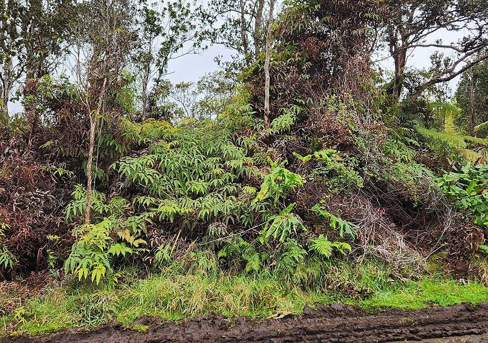 1st image of Nahelenani St Lot 53-B-613