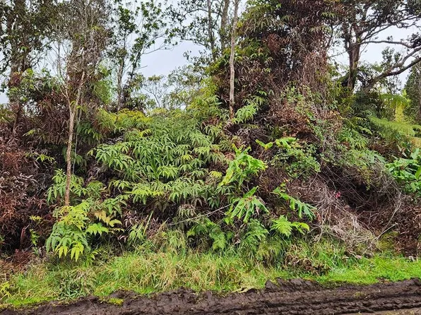 Nahelenani St Lot 53-B-613, Volcano, HI 96785