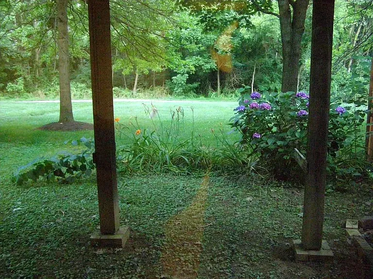 Backyard lower