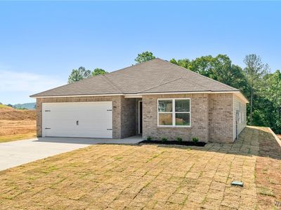 14405 Bell Flower Ln, Tuscaloosa, AL, 35405