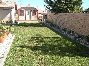 Rear Office 10'x10', insulated along with look at Slump Stone Fencing.
