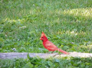 18 Murchison Pl, White Plains, NY 10605