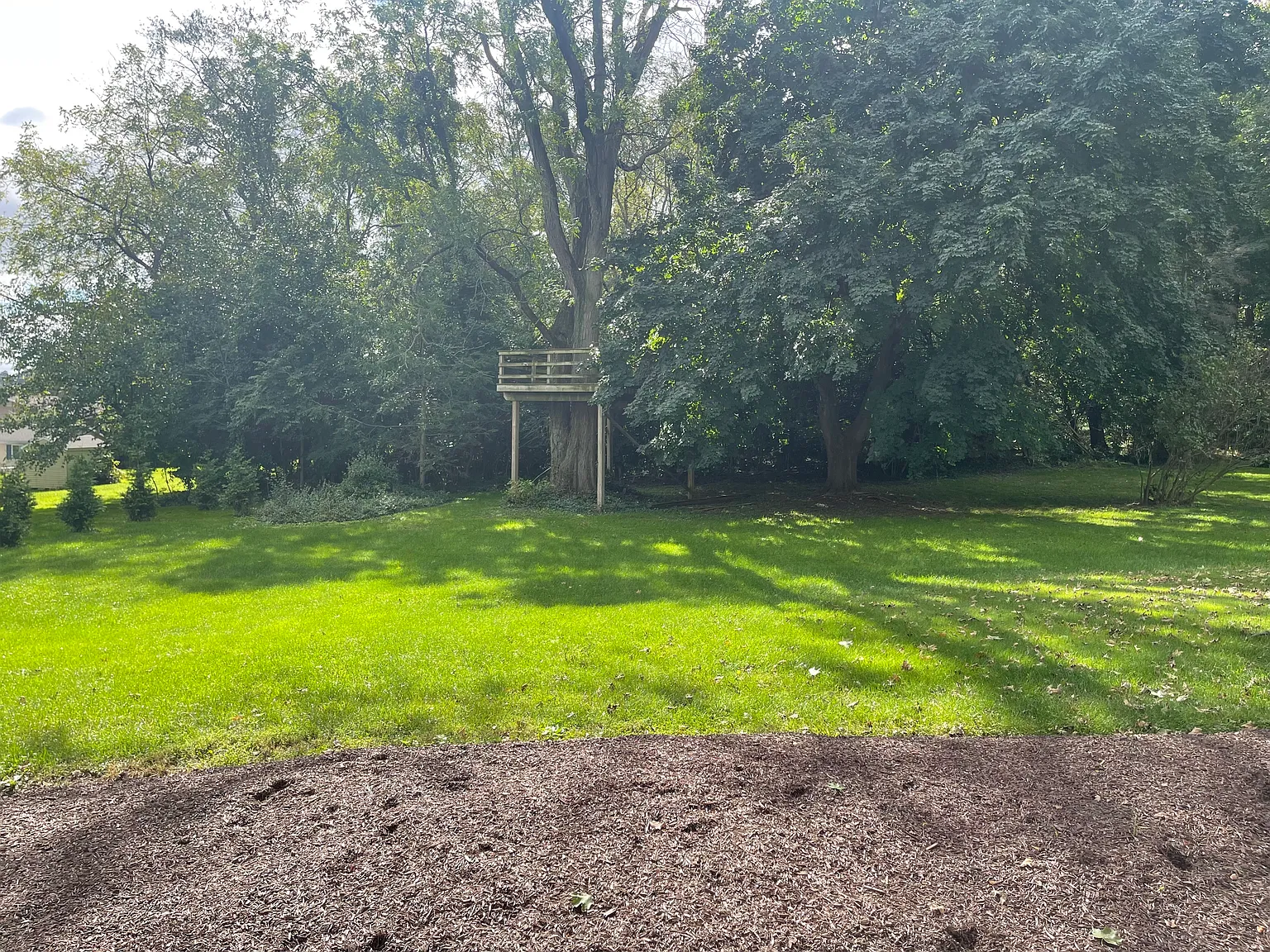 3 bed, 988 sqft, $2,695 — Photo 4