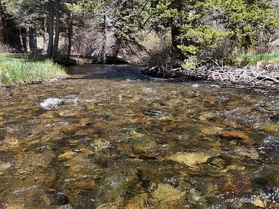 4th image of 26 Valley Of The Pines