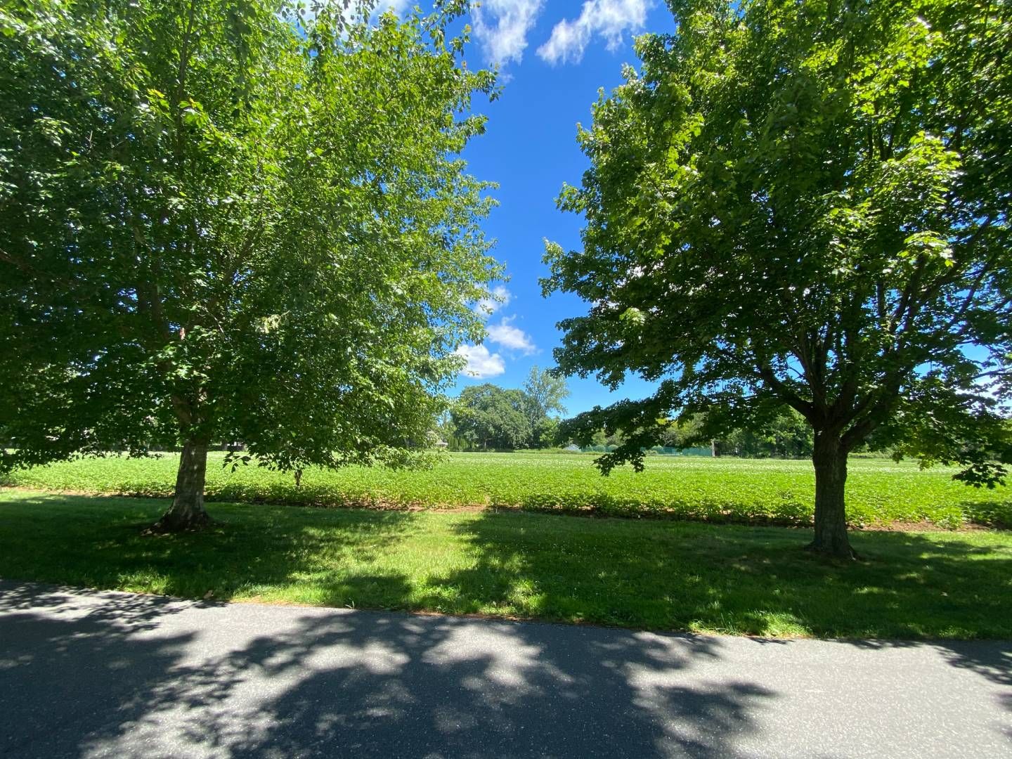 View of 4.5 acres of Dayton farmland