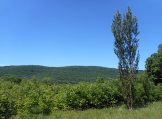 519 Barnes Hill Rd, Delancey, NY 13752