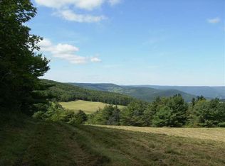 0 E Hill Rd, Middleburgh, NY 12122