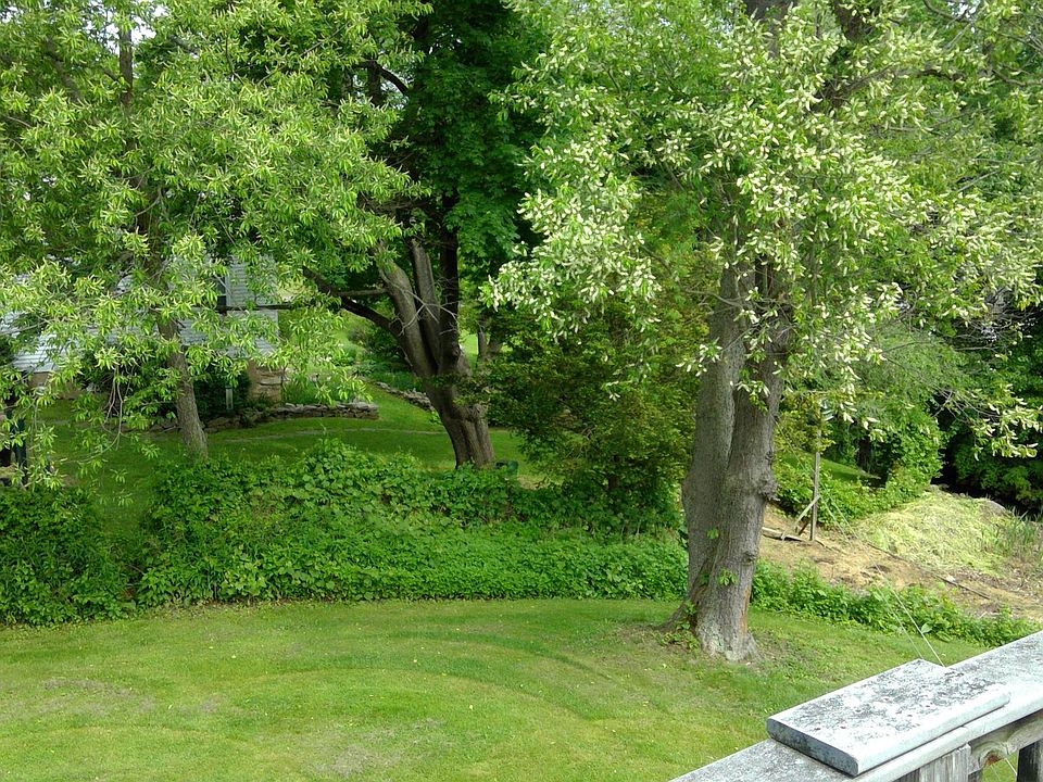 View from private deck.