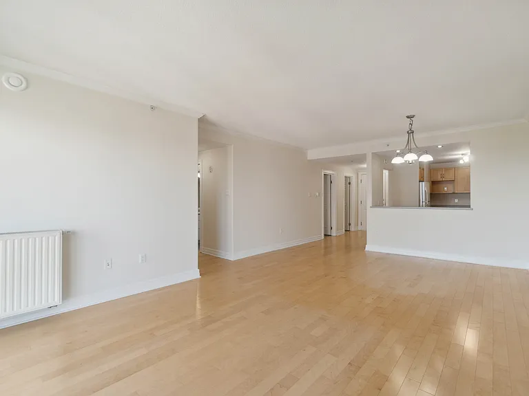 10 Horizon Ct #1101 — Photo 4