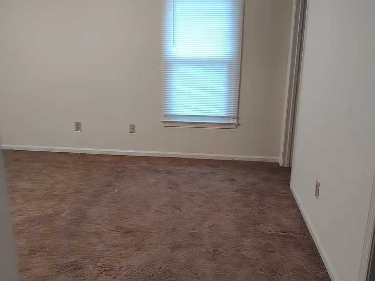 421 Currituck Dr — Photo 19