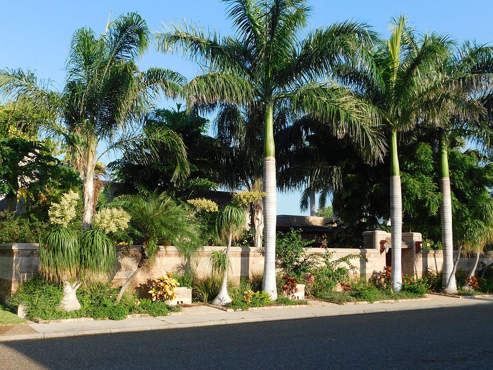 1st image of 54 Shadowbrook Ln