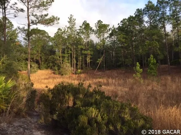 242 Sleepy Hollow Dr, Interlachen, FL 32148