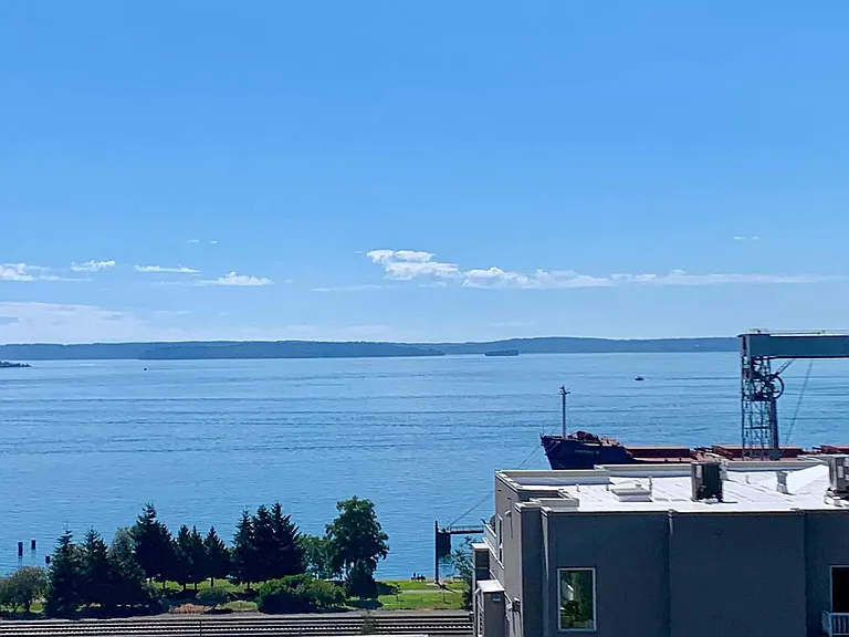 View from living room #2
