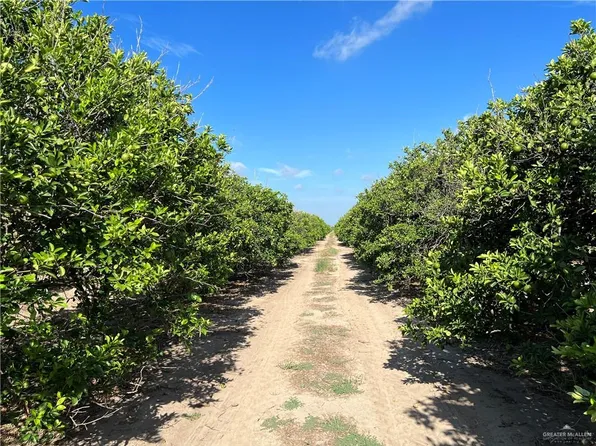 10.75 Mi, Edinburg, TX 78541