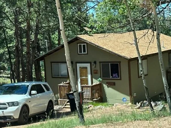 45 Buckskin Cir, Florissant, CO 80816