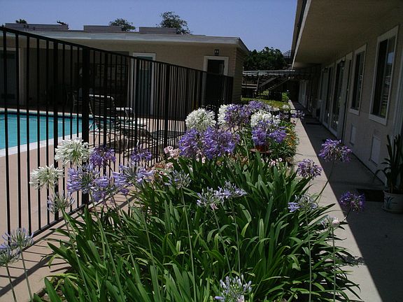 3rd image of 7434 Mesa College Dr #39