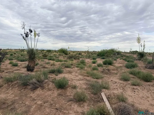 X Hondale Rd SW, Deming, NM 88030