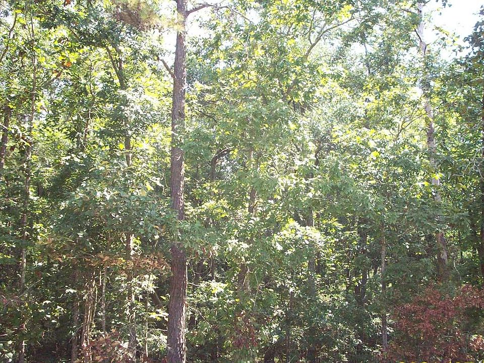2nd image of 3941 Ardis Pond Rd
