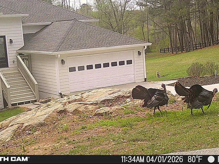 241 Nacoochee Dr — Photo 52