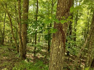 9 Wolf Creek Trl, Mineral Bluff, GA 30559