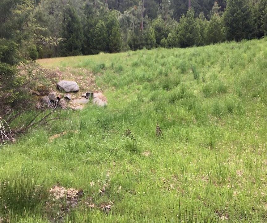 2nd image of 7197 Grizzly Creek Dr