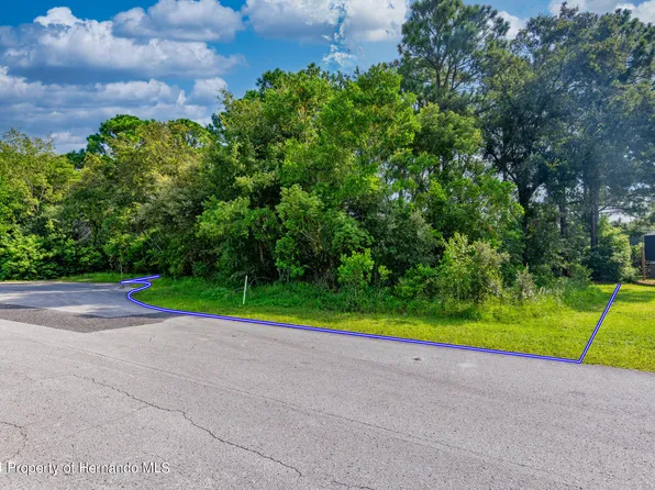 Lakeview Ct, Spring Hill, FL 34608