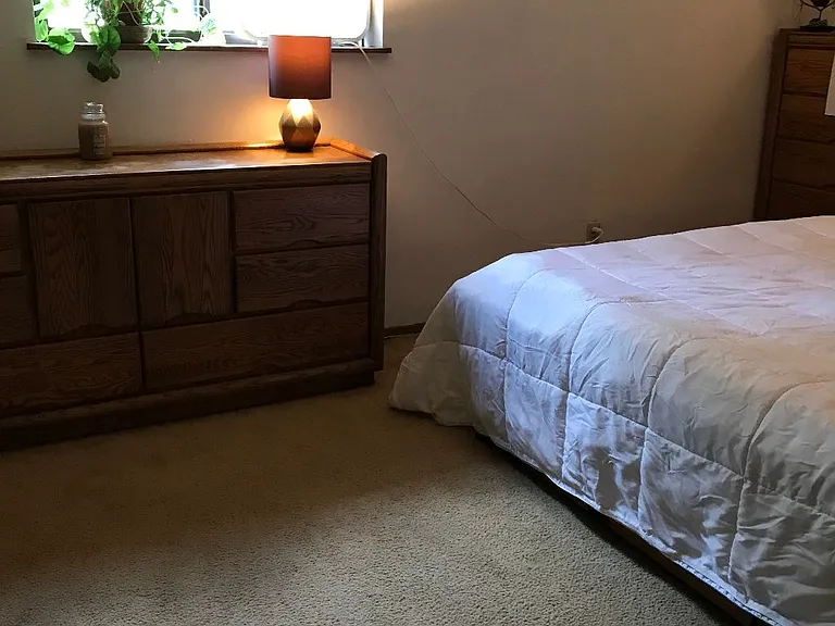 71 Locust Ridge Dr — Photo 8
