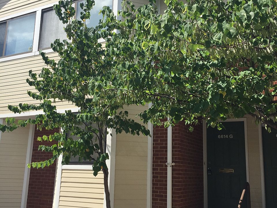 1st image of 6612-6644 Oakland Ave #23
