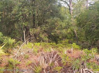 12442 Ruffed Grouse Rd, Brooksville, FL 34614