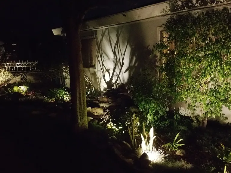 358 Bard St — Photo 25
