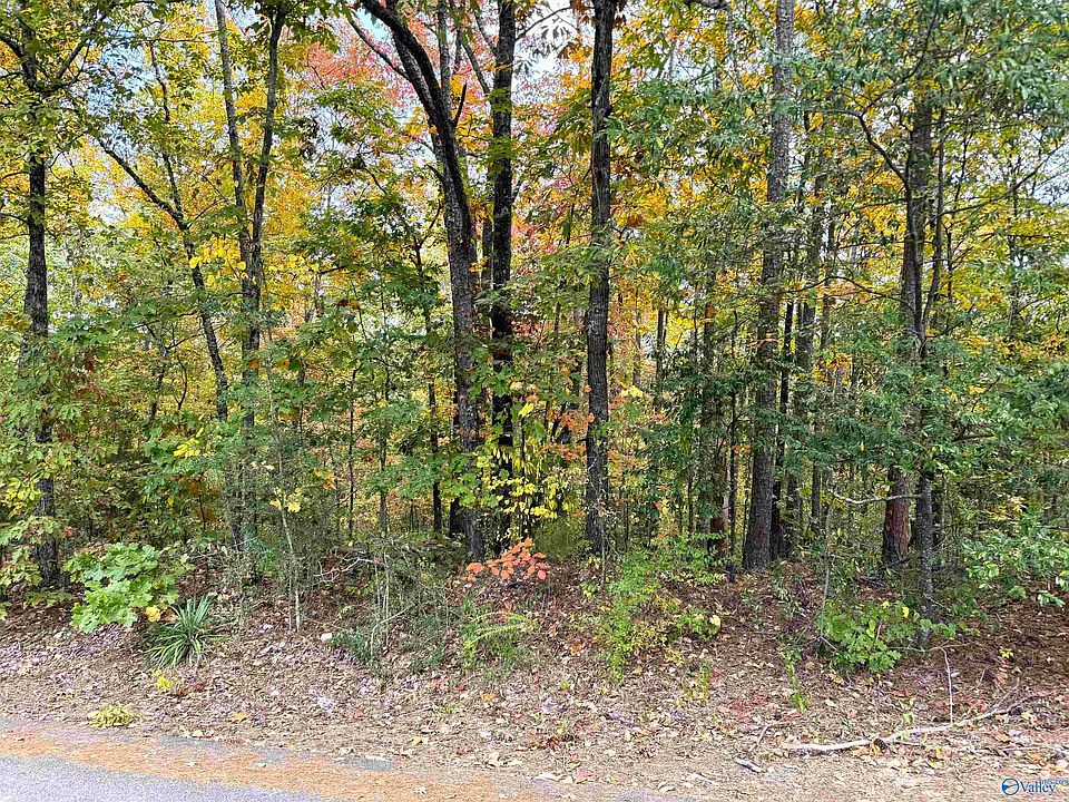 1st image of LOT 8 White St