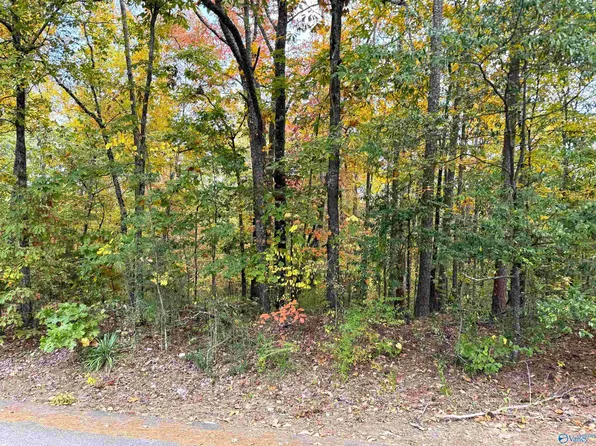 LOT 8 White St, Gadsden, AL 35901