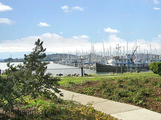 116 Shoreline Ct — Photo 15