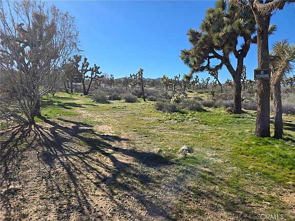 4th image of 7484 Palm Ave Lot 6