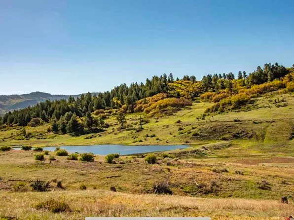 265 Spring Creek Circle, Pagosa Springs, CO 81147