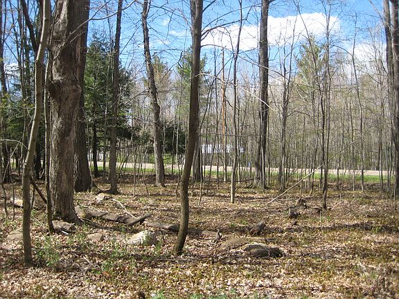 VIEW TO WHIPPOORWILL ROAD