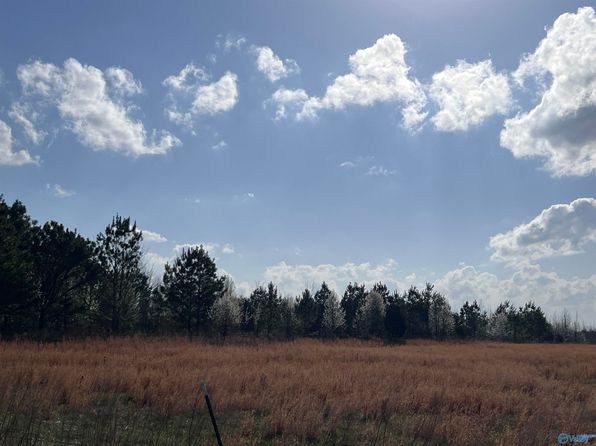 County Road 463, Section, AL 35771