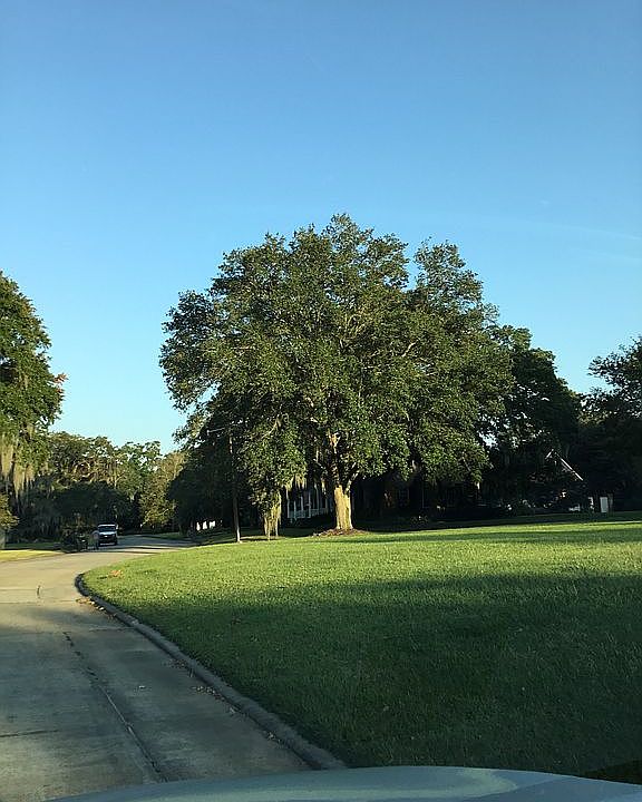 2nd image of 12 Duperier Oaks Dr