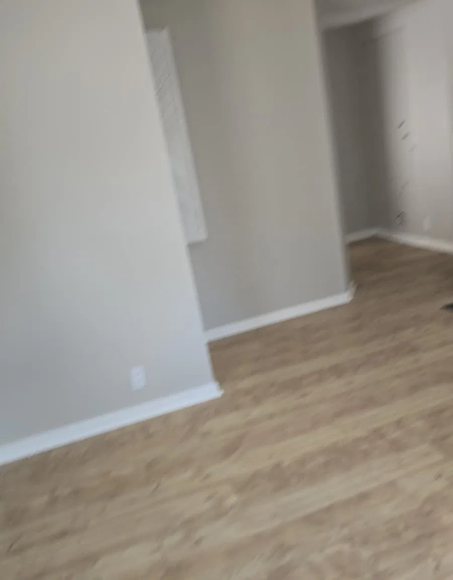 1 bed, $900 — Photo 3