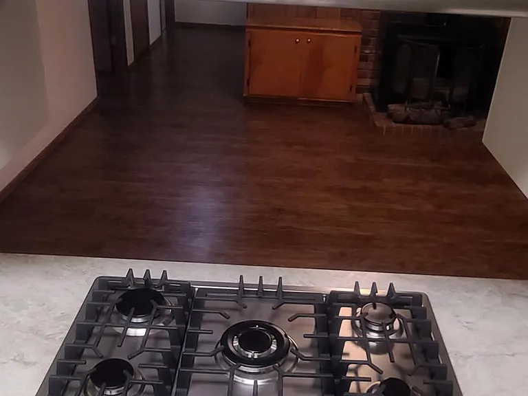 Kitchen Stovetop and Vent Hood