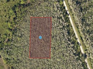Salyers Rd, Clermont, FL 34714