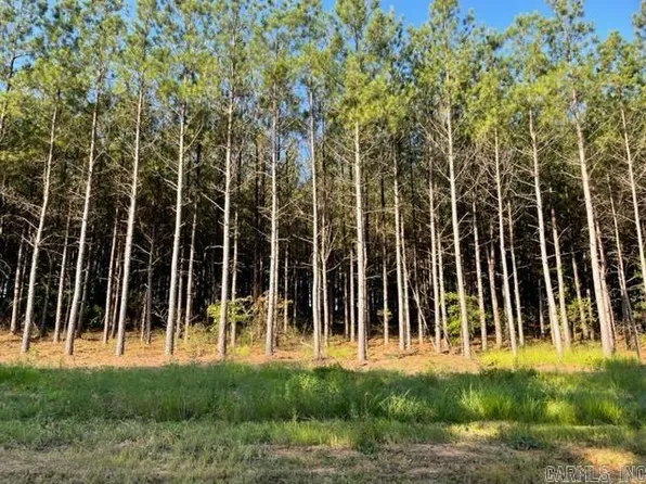 6 Round Mountain Rd, Conway, AR 72034