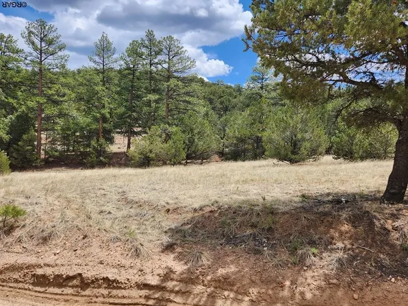 Tbd I Path, Cotopaxi, CO 81223