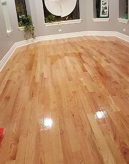 1st image of 7355 S King Dr #1