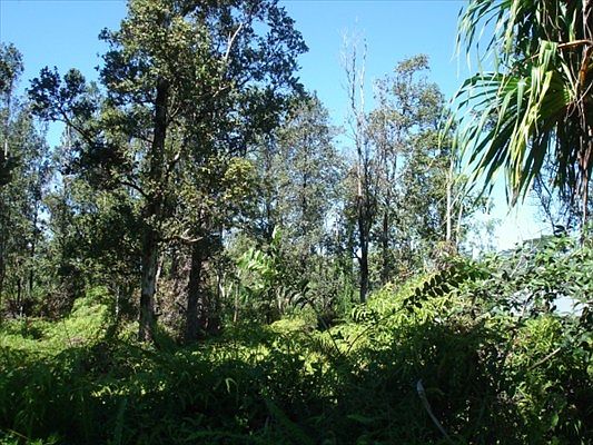 2nd image of Malolo St Lot 1059