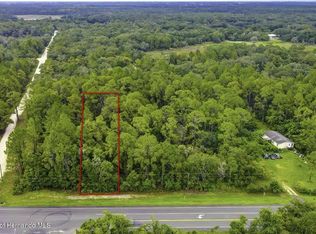 0 Treiman Blvd #16, Webster, FL 33597