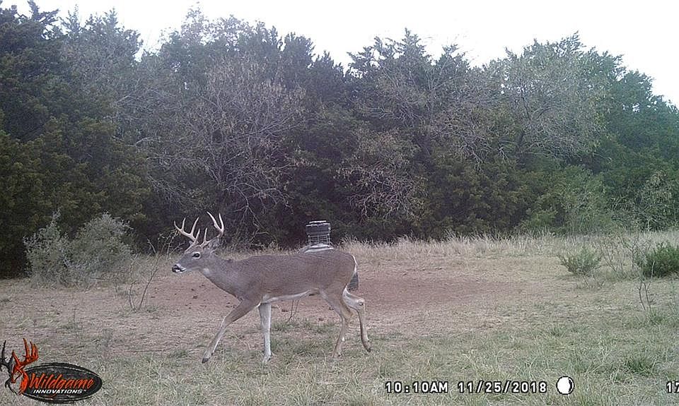 1st image of 1527 Old Coleman Hwy
